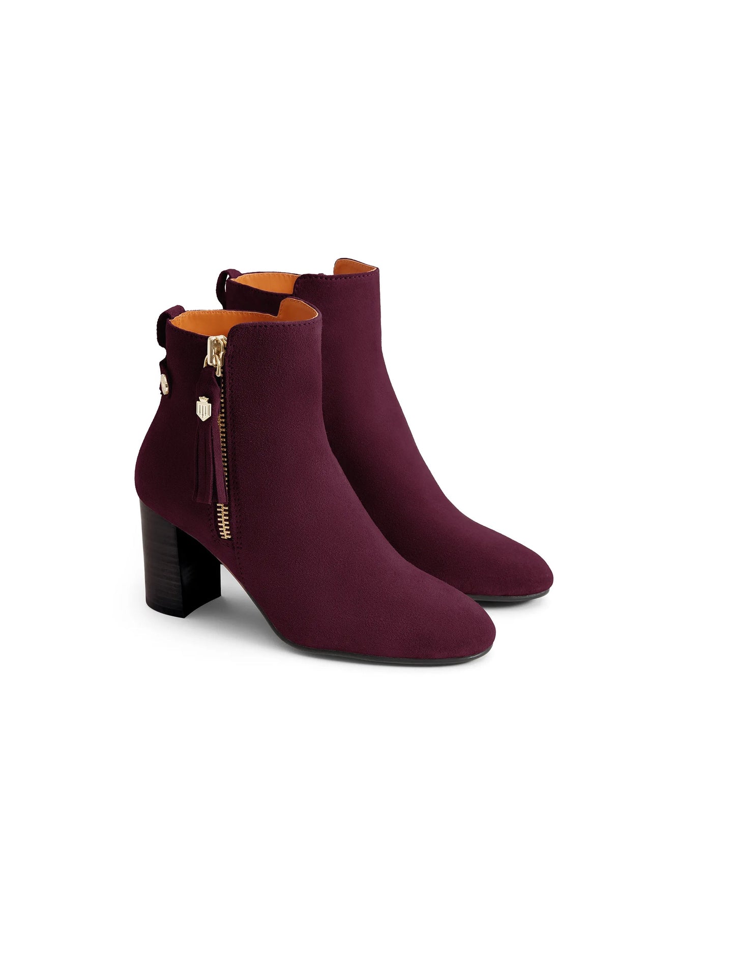 'Oakham' Elderberry Suede