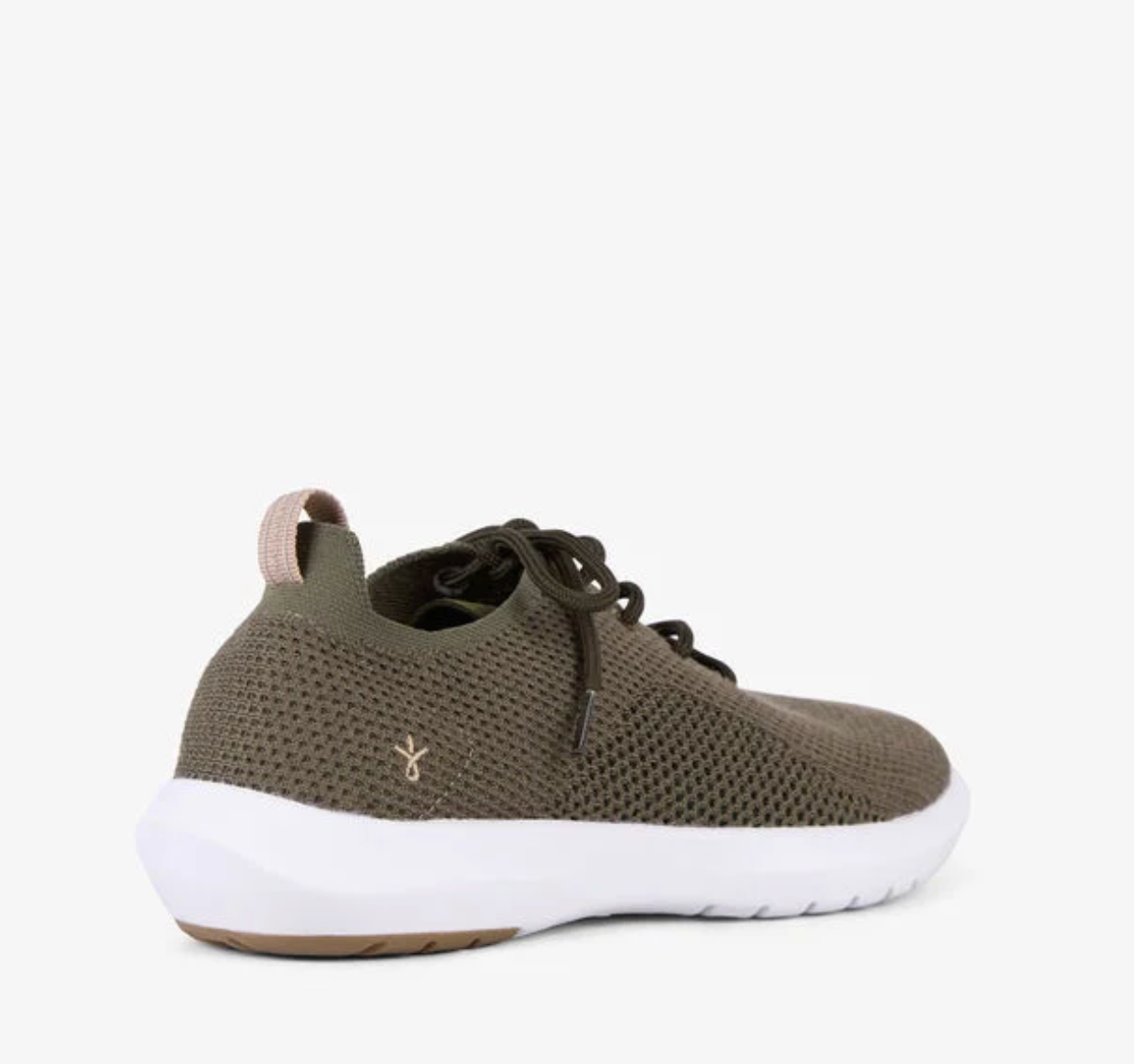 Springbrook Olive