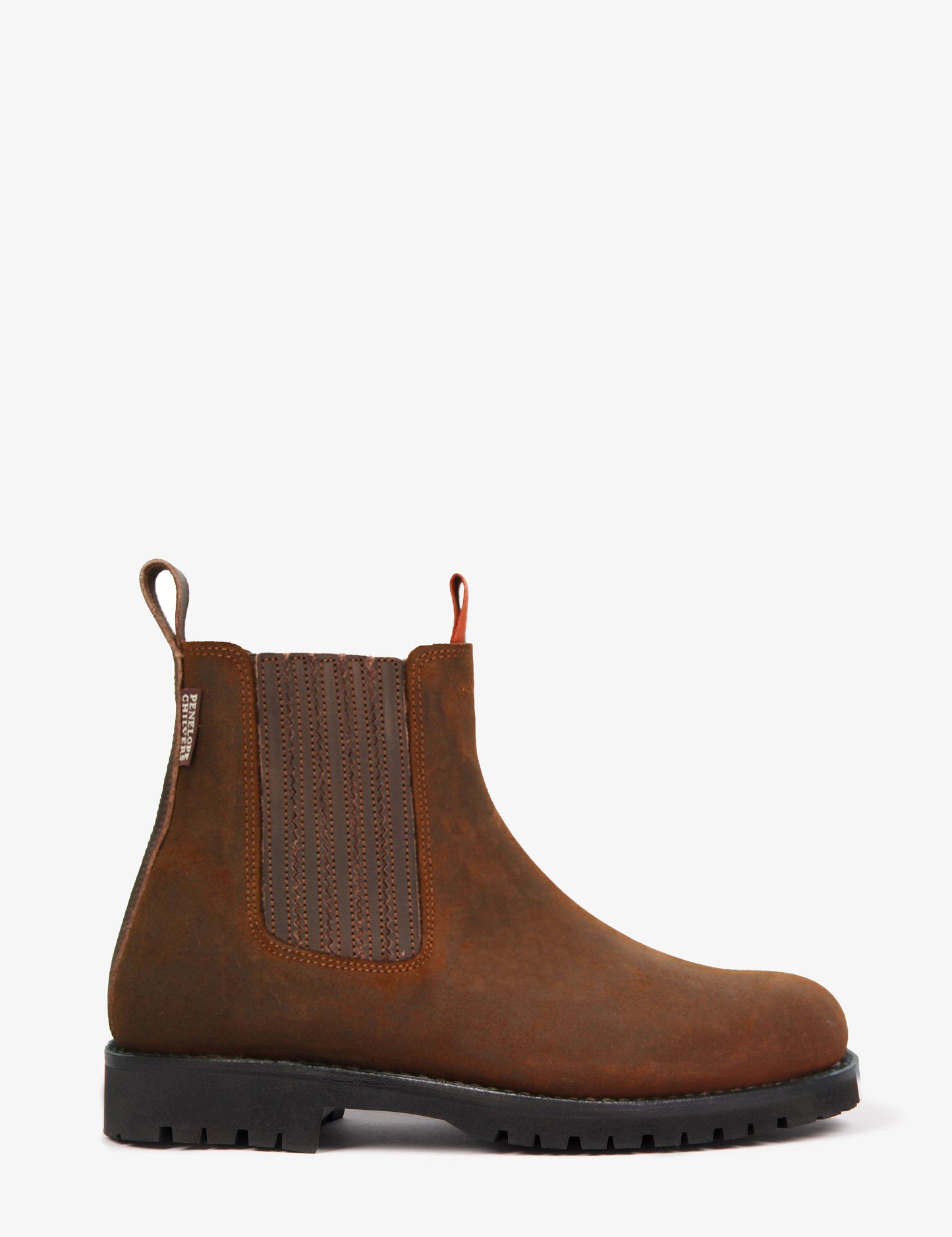'Inclement Oscar' Chestnut