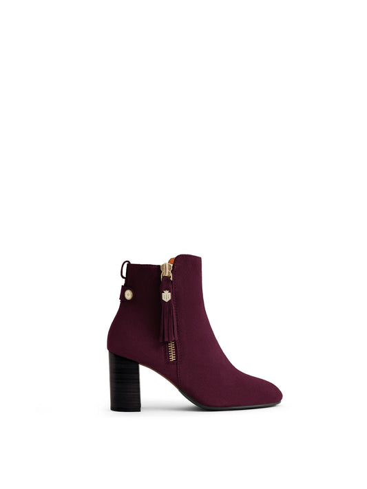 'Oakham' Elderberry Suede