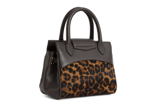 'Mini Windsor' Leopard hiarcalf