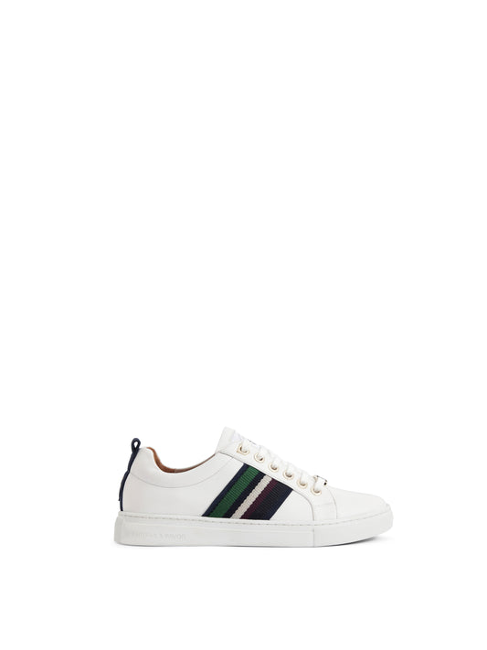 Boston White Trainer